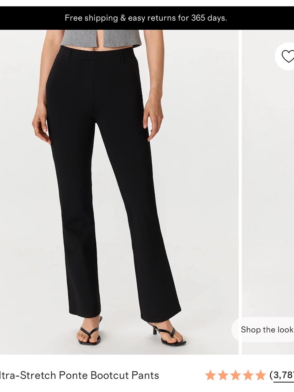 Quince Black Ponte Bootcut Pants